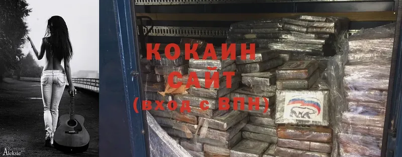 продажа наркотиков  Прокопьевск  COCAIN Fish Scale 